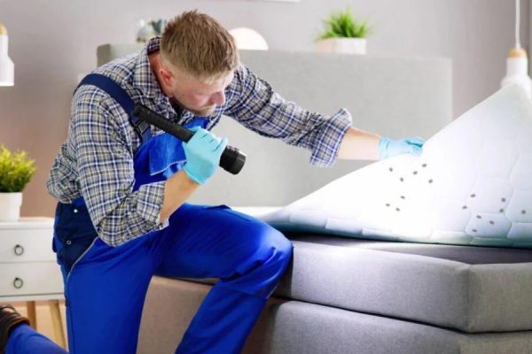 Banner-Image_Blog-5-Addressing-Bed-Bug-Infestations_-Professional-Pest-Control-Services-in-Chennai-1080x600-1-qt0q7r0wkq7boebn2l4r8713kf3qdr7w0t2umwavfk